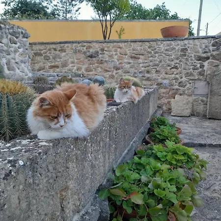 Casarao Do Largo Da Eira Tomar