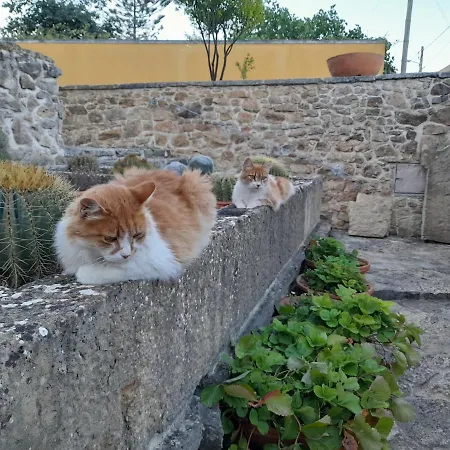Casarao Do Largo Da Eira Tomar