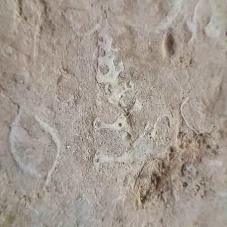 Quarto em Acomodações Particulares Casarão Do Largo Da Eira Tomar