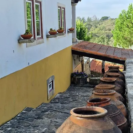 Casarao Do Largo Da Eira * Tomar