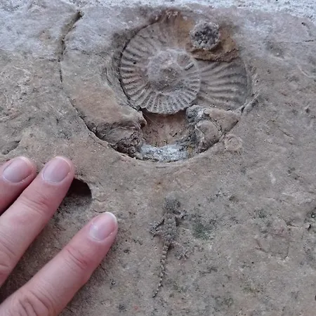 Quarto em Acomodações Particulares Casarão Do Largo Da Eira Tomar