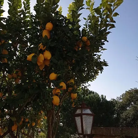 Casarão Do Largo Da Eira * Tomar