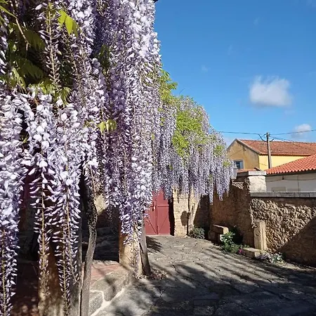 Casarao Do Largo Da Eira Homestay *