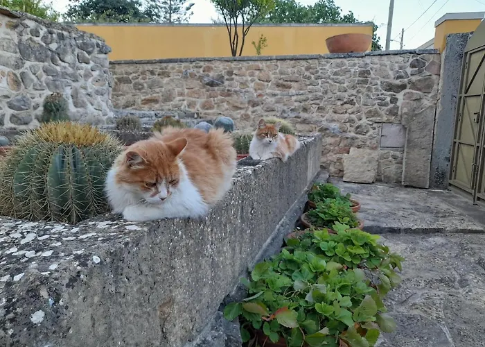 Casarao Do Largo Da Eira Томар
