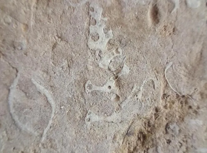 Alloggio in famiglia Casarao Do Largo Da Eira Tomar