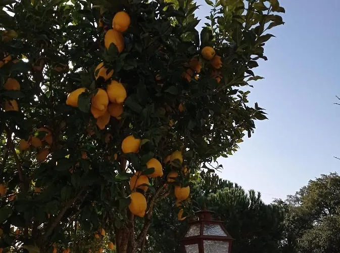 Casarao Do Largo Da Eira * טומאר