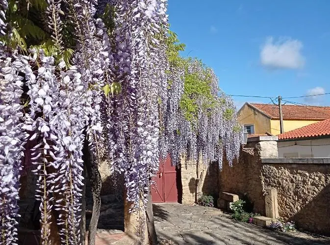 Casarao Do Largo Da Eira בית אירוח *